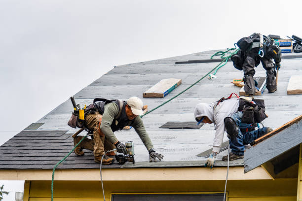 Professional Storm Damage Roof Repair technician working in Atlanta, NY